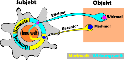 Základný model Umwelt-Innenwelt